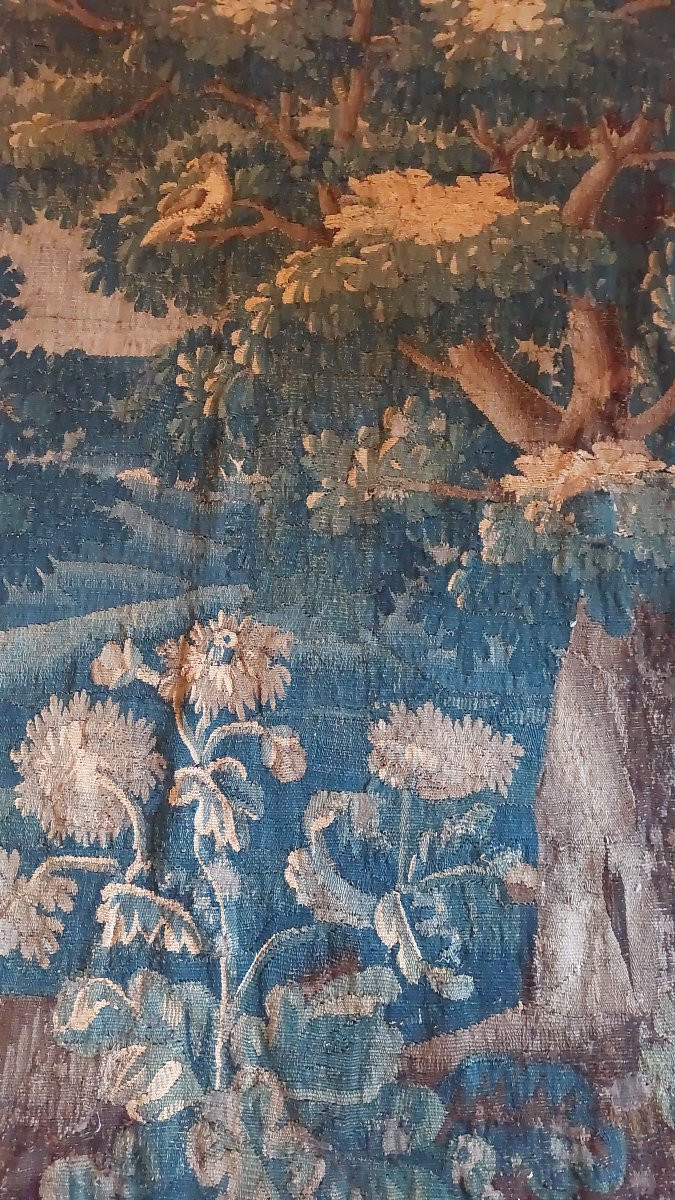 Tapisserie Aubusson XVIIIe verdure -photo-3