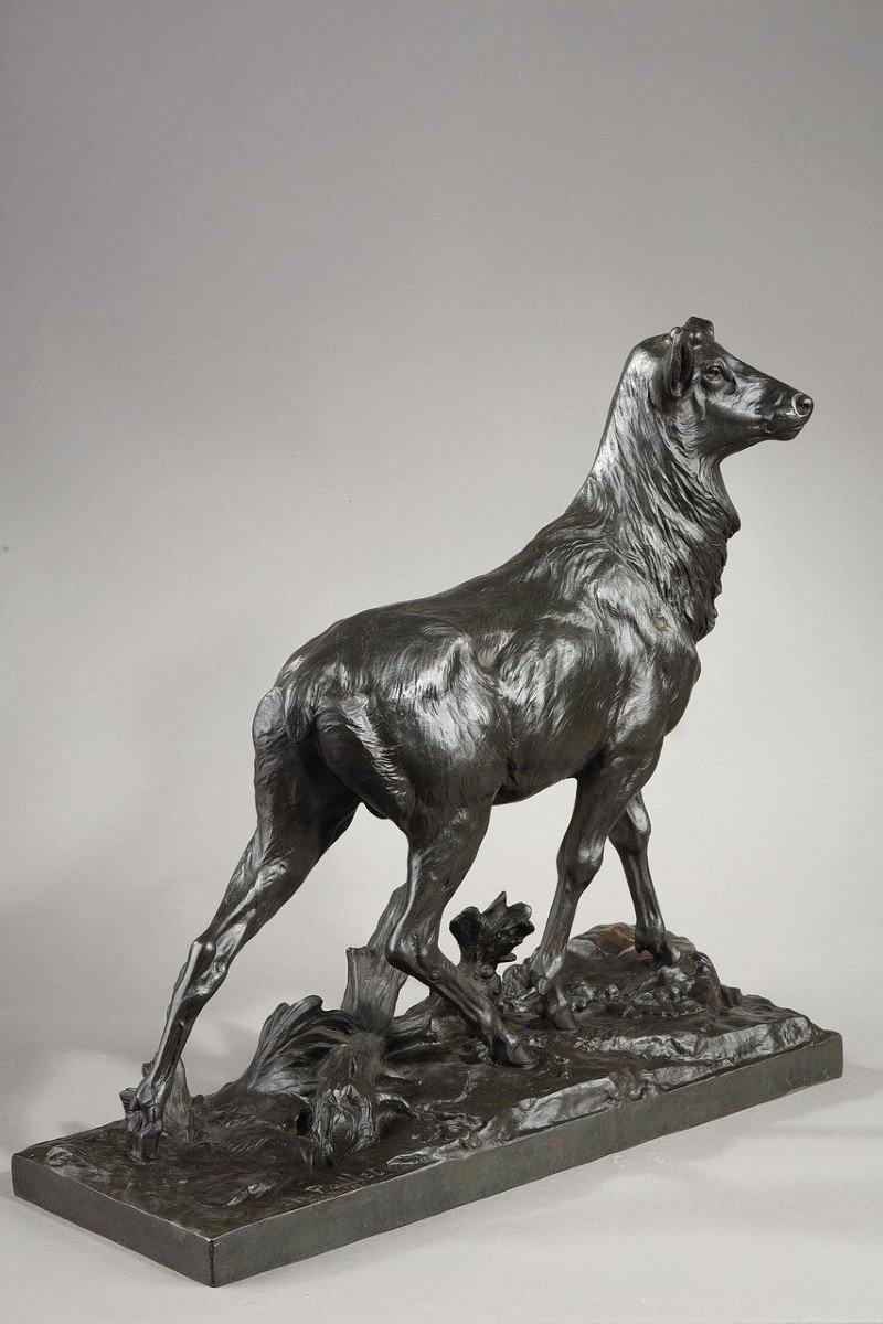 Bronze Sculpture "big Stag After Its Moult", C. Paillet, XXth Century-photo-3