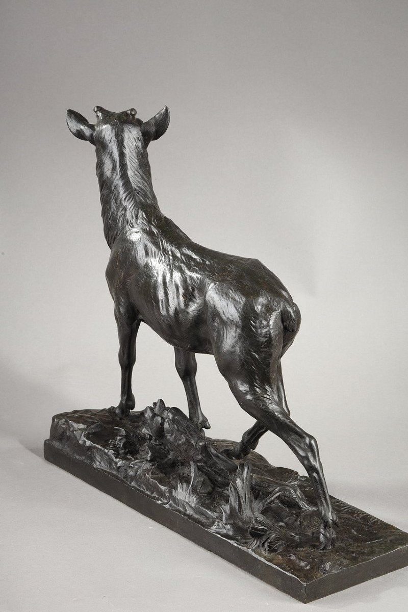 Bronze Sculpture "big Stag After Its Moult", C. Paillet, XXth Century-photo-4