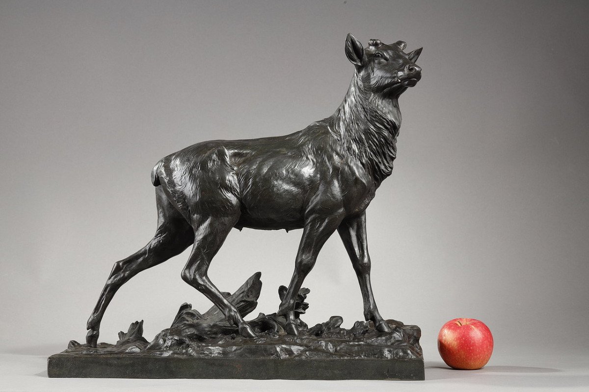 Bronze Sculpture "big Stag After Its Moult", C. Paillet, XXth Century-photo-1