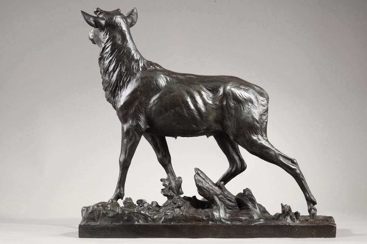 Bronze Sculpture "big Stag After Its Moult", C. Paillet, XXth Century-photo-2