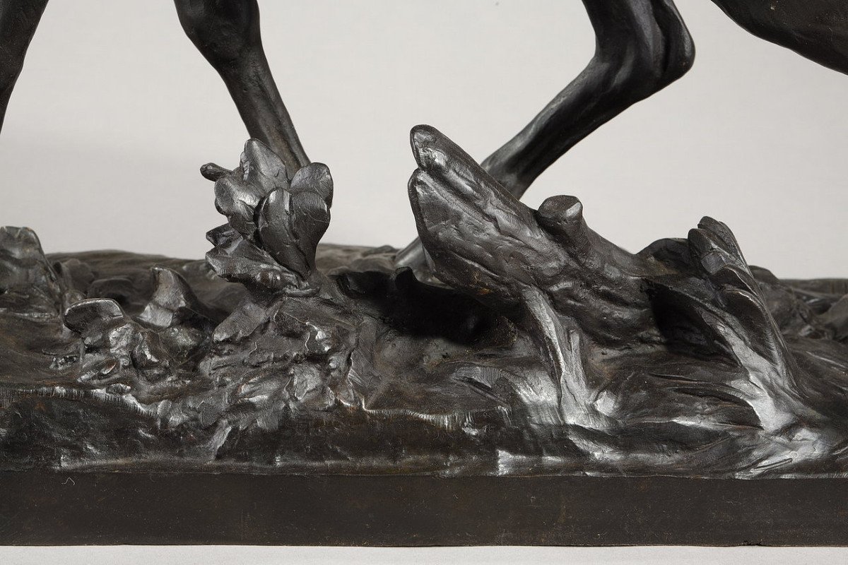 "Cerf après sa mue", sculpture en bronze, signée Ch. Paillet, XXe siècle-photo-3
