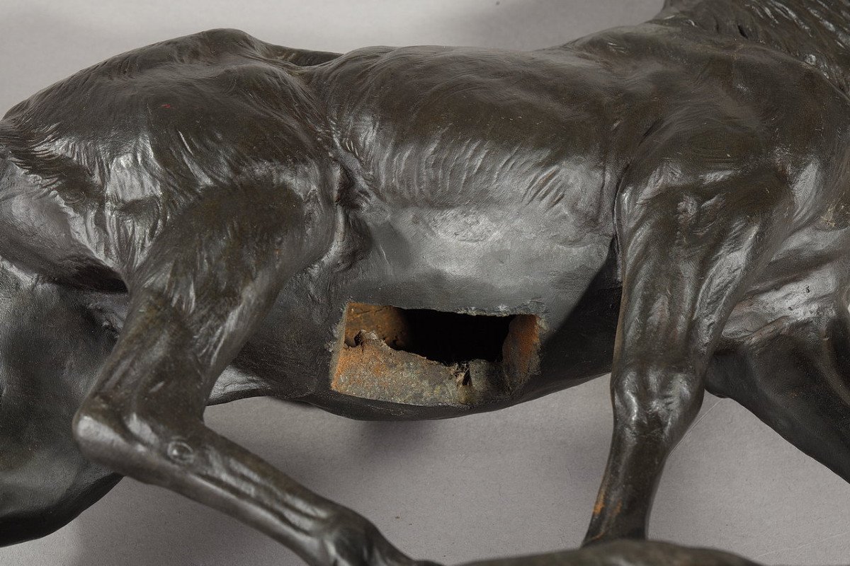 Bronze Sculpture "big Stag After Its Moult", C. Paillet, XXth Century-photo-7