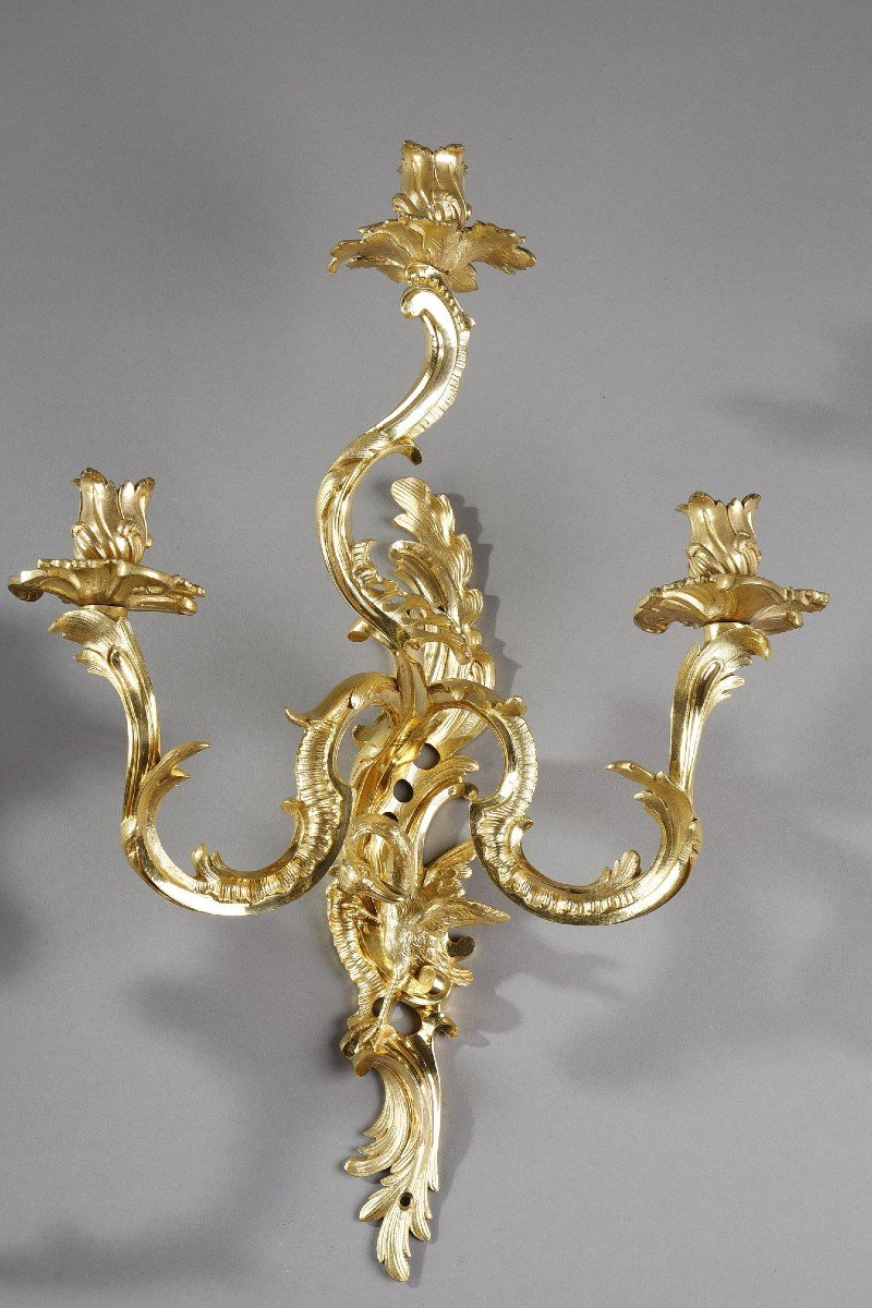 Pair Of Gilt Bronze Sconces With Three Arms Of Light, Louis XV Style-photo-1