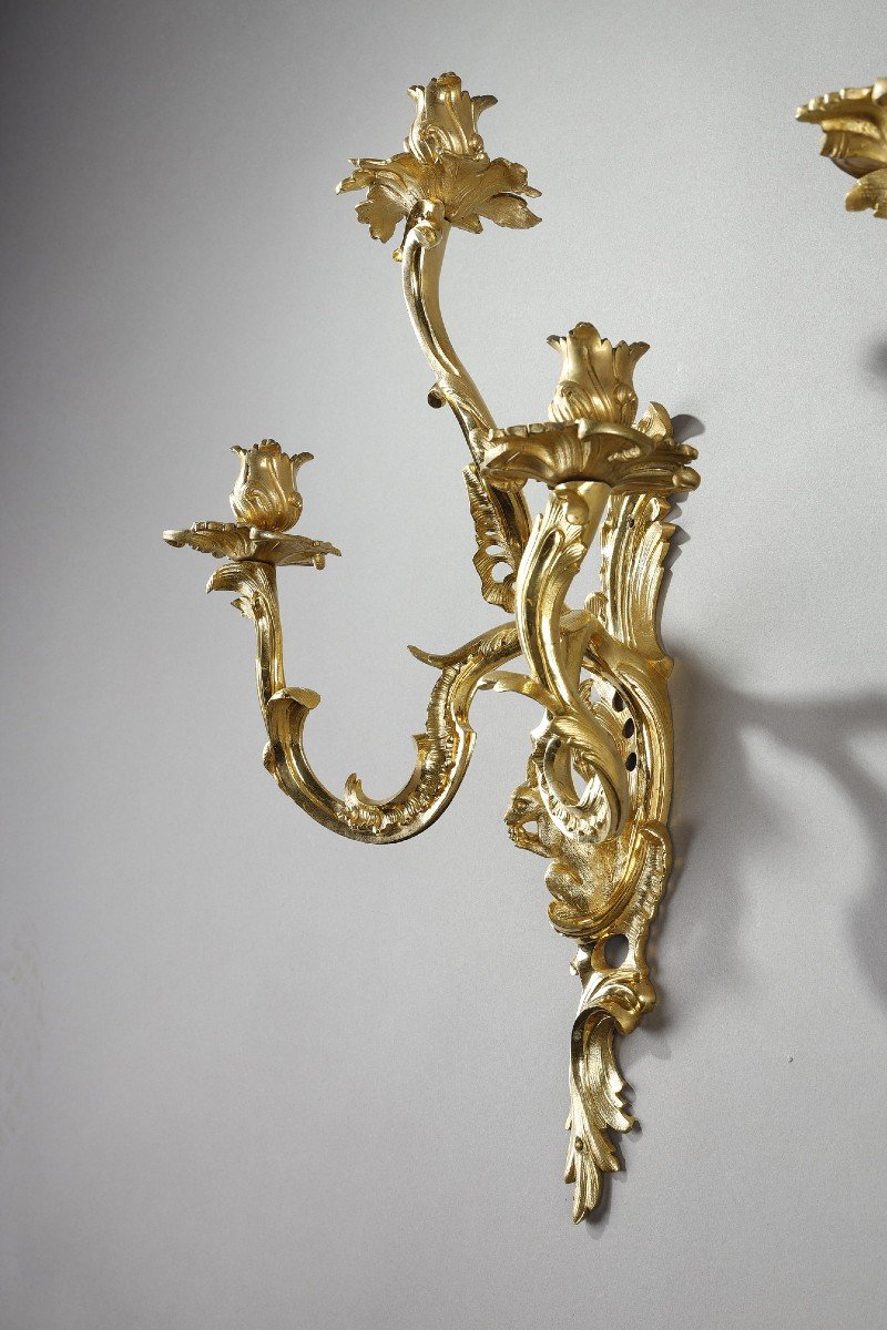 Pair Of Gilt Bronze Sconces With Three Arms Of Light, Louis XV Style-photo-3