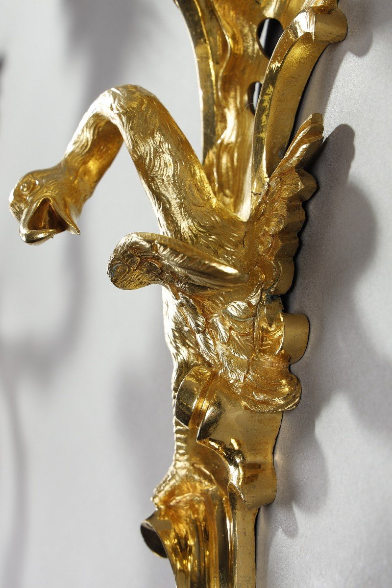 Paire d'Appliques En Bronze Doré à Trois Bras De Lumière De Style Louis XV-photo-7