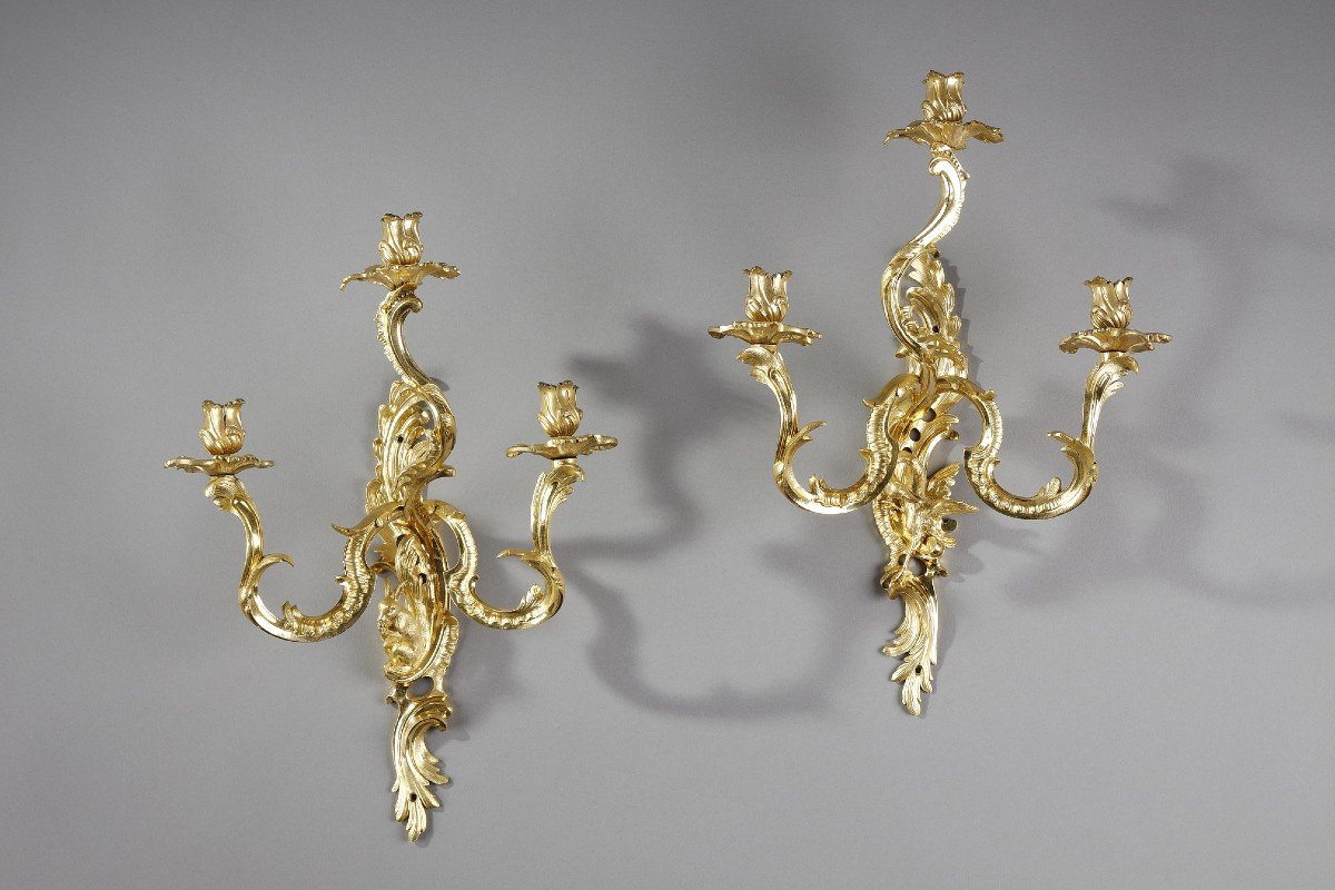 Paire d'Appliques En Bronze Doré à Trois Bras De Lumière De Style Louis XV