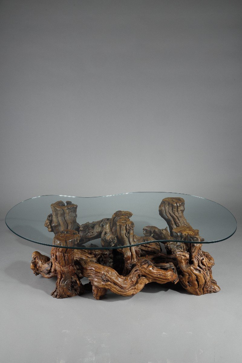 Coffee Table Made From Tree Roots With A Bean-shaped Glass Top. -photo-2