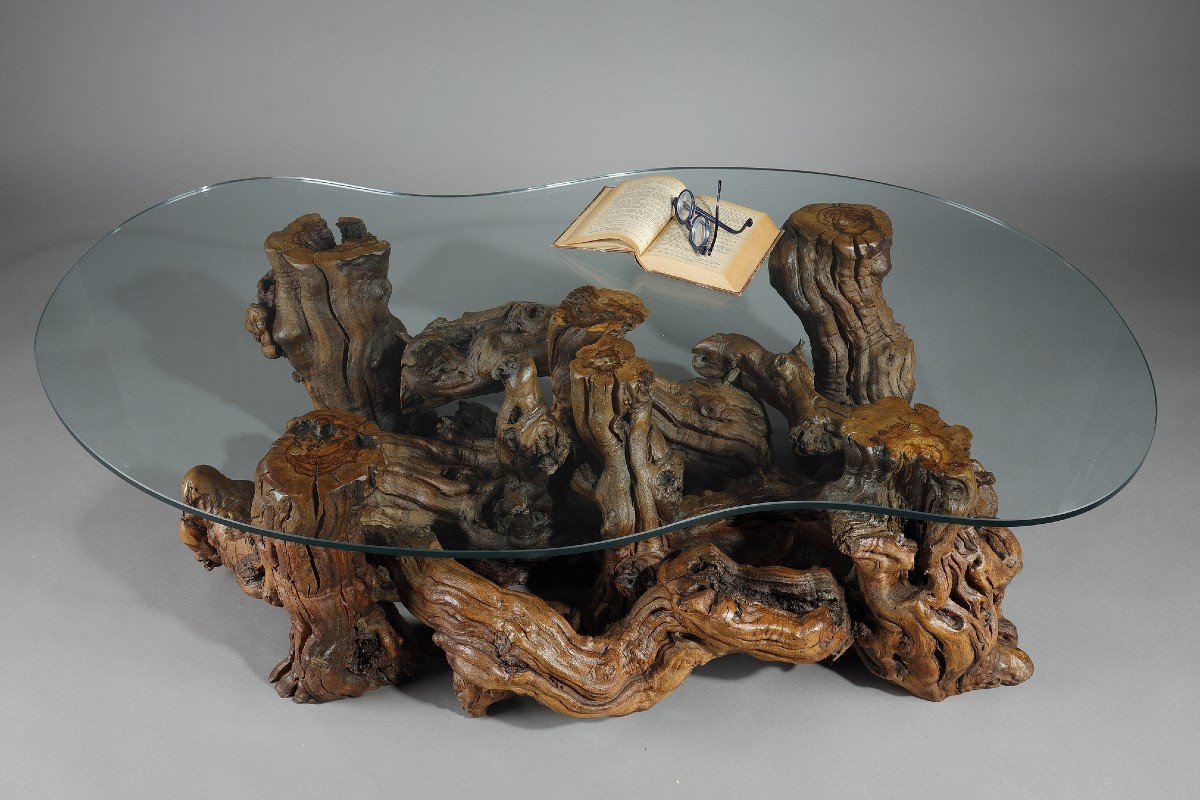 Coffee Table Made From Tree Roots With A Bean-shaped Glass Top. -photo-1