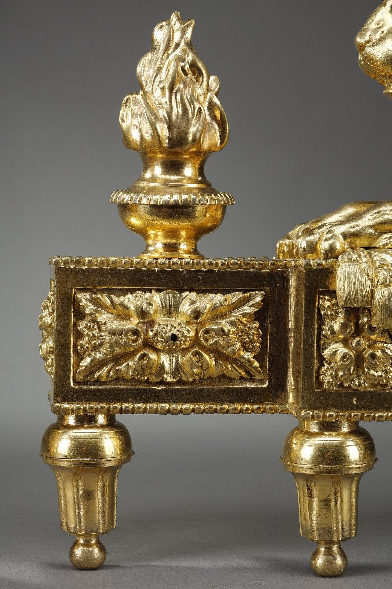 Pair Of Andirons With Lions In Chiseled And Gilded Bronze-photo-6