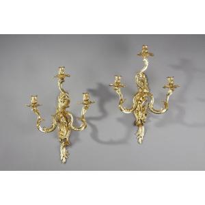 Paire d'Appliques En Bronze Doré à Trois Bras De Lumière De Style Louis XV