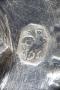 1341204-alb-664cd7ce4ba58.jpg