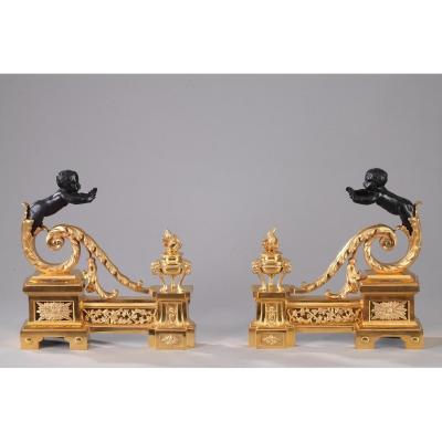 Gilt And Patinated Bronze Andirons In Louis XVI Style