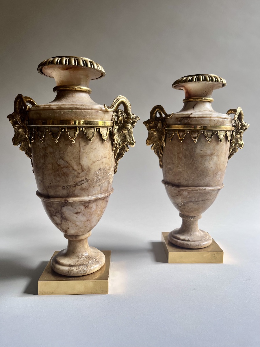 Paire de vases en albâtre et bronze doré de style Louis XVI ( XIX ème)