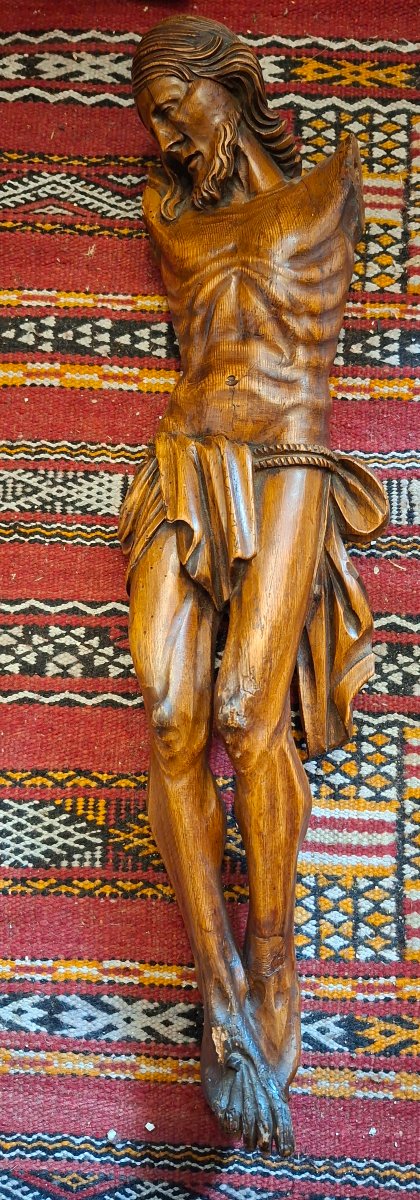 Christ, 18th Place In The Softwood Category, 57 Cm