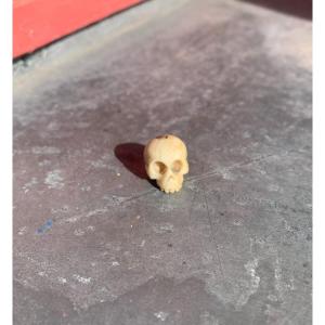 Miniature Bone Vanite Memento Mori
