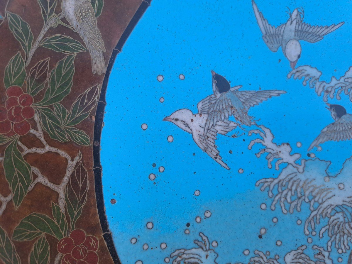 Cloisonné Enamel Dish From Japan, 19th Century -photo-3