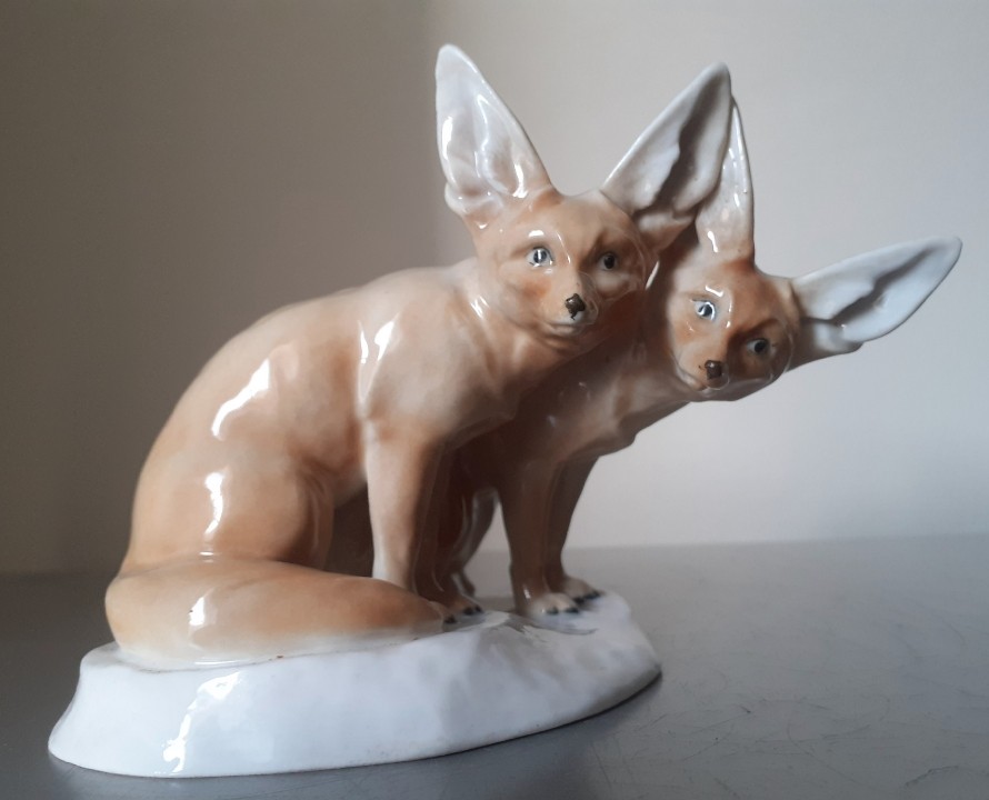 Couple de renards du désert -photo-2