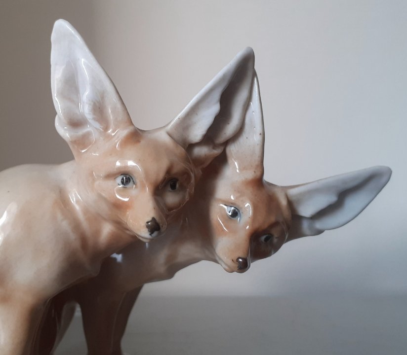 Couple de renards du désert -photo-3