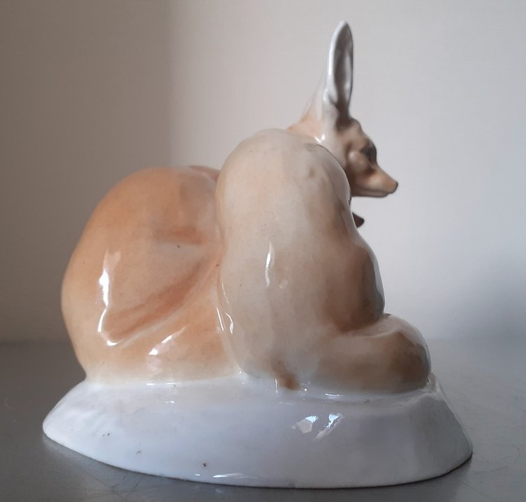 Couple de renards du désert -photo-4