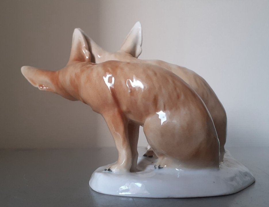 Couple de renards du désert -photo-1