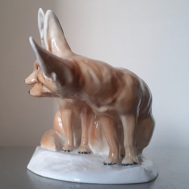 Couple de renards du désert -photo-2