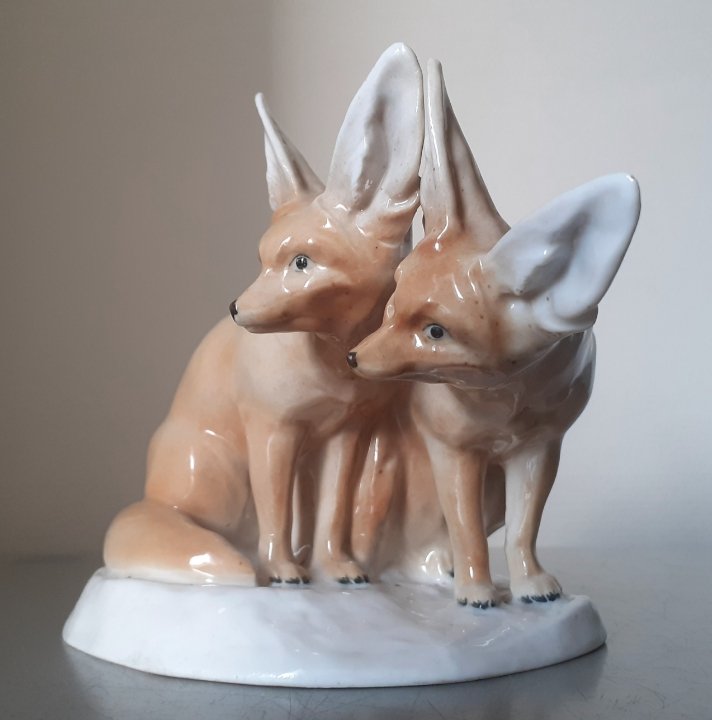 Couple de renards du désert -photo-3