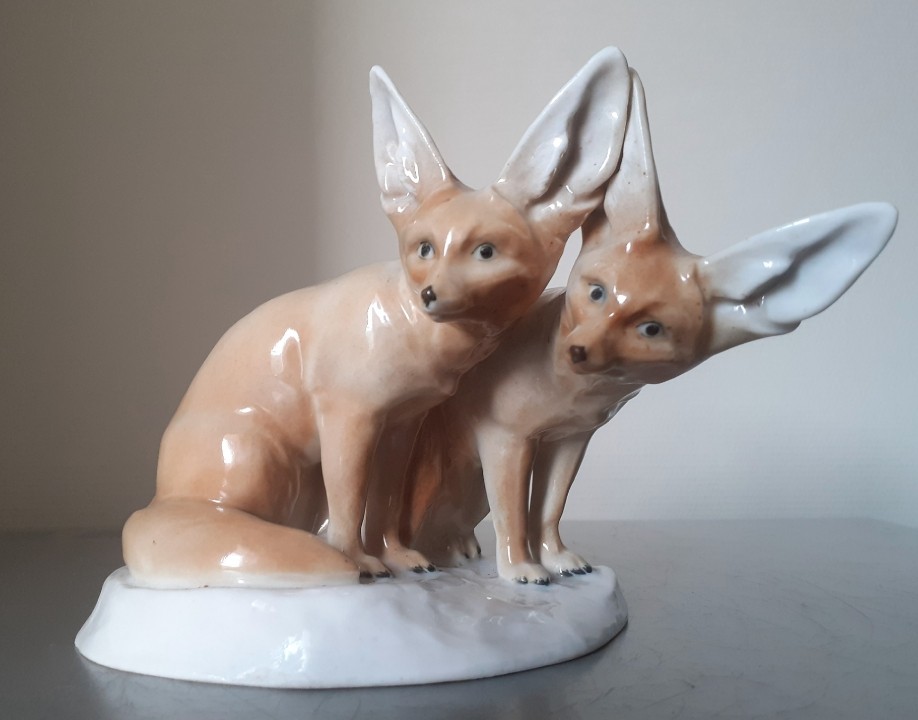 Couple de renards du désert 