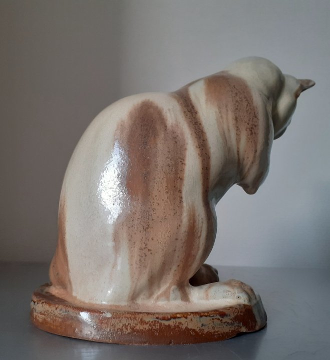 Chat faisant sa toilette -photo-4