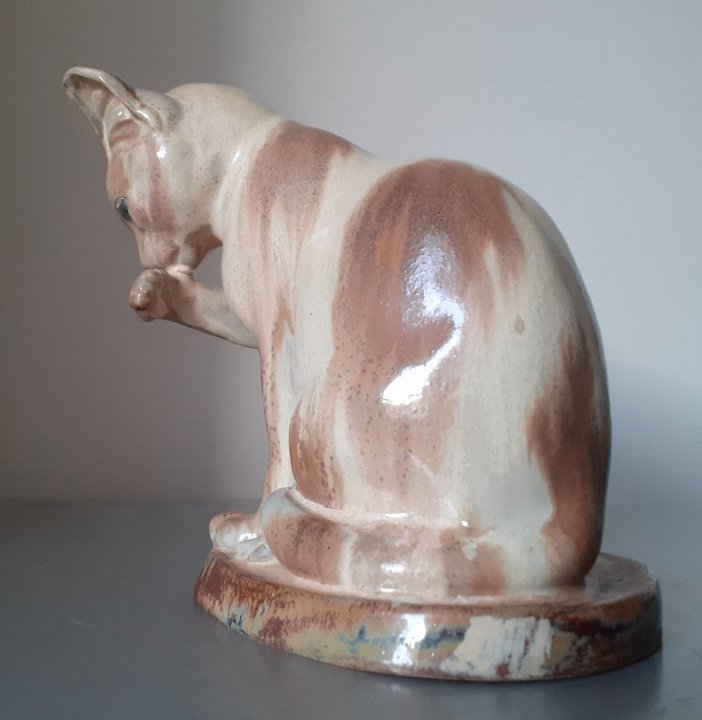 Chat faisant sa toilette -photo-1