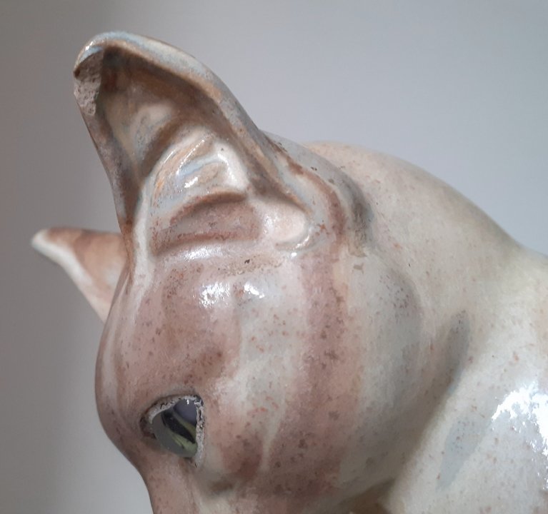 Chat faisant sa toilette -photo-2