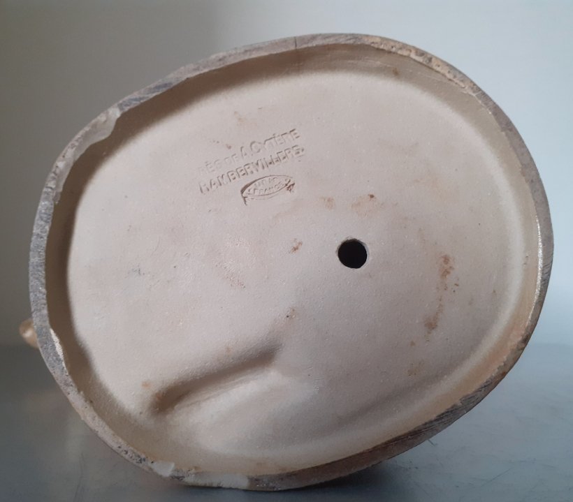 Chat faisant sa toilette -photo-4