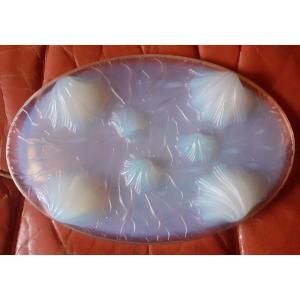 Dessous de plat Verlys France décor de coquillages et d'algues 