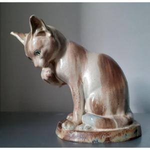 Chat faisant sa toilette 