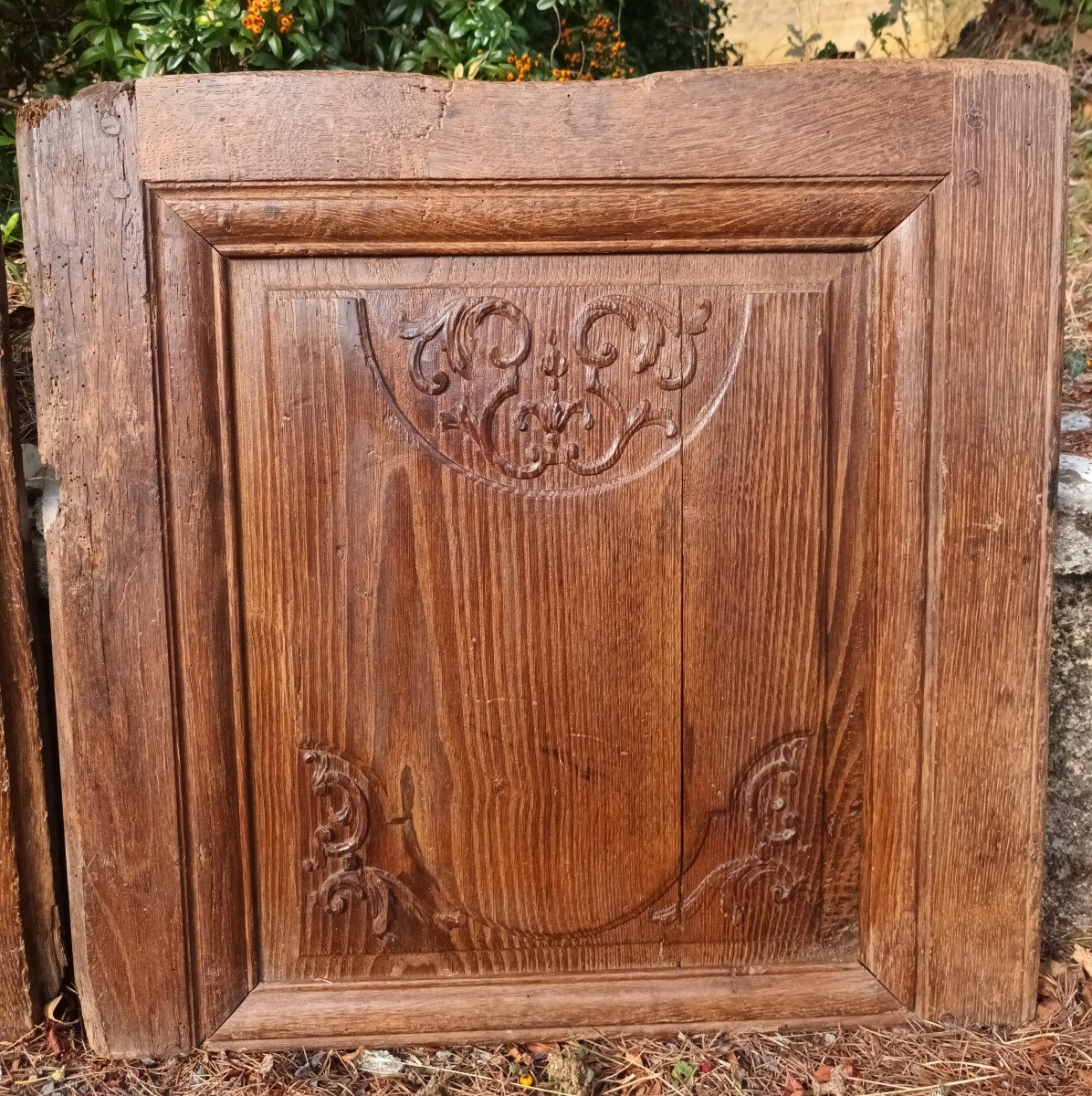 Portes De Placard XVIIIe Décor à La Pie En chêne-photo-3