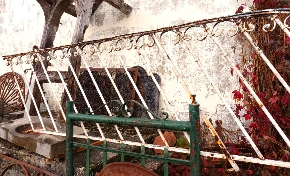 Rambarde d'Escalier Art Nouveau En Fer Forgé-photo-1