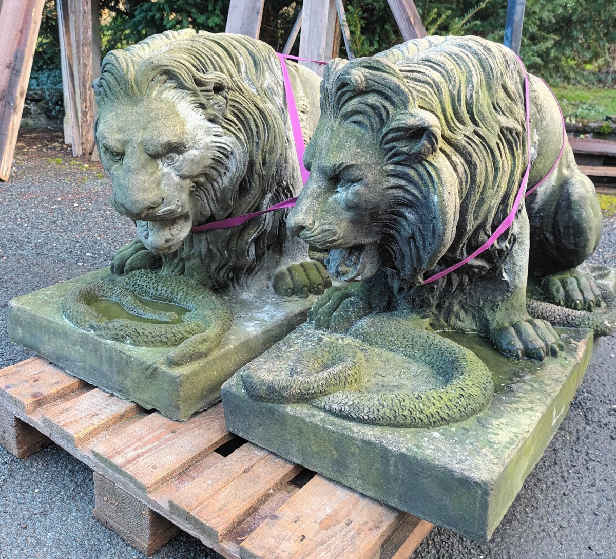 Large Pair Of Lions With Snakes In Cement-photo-4