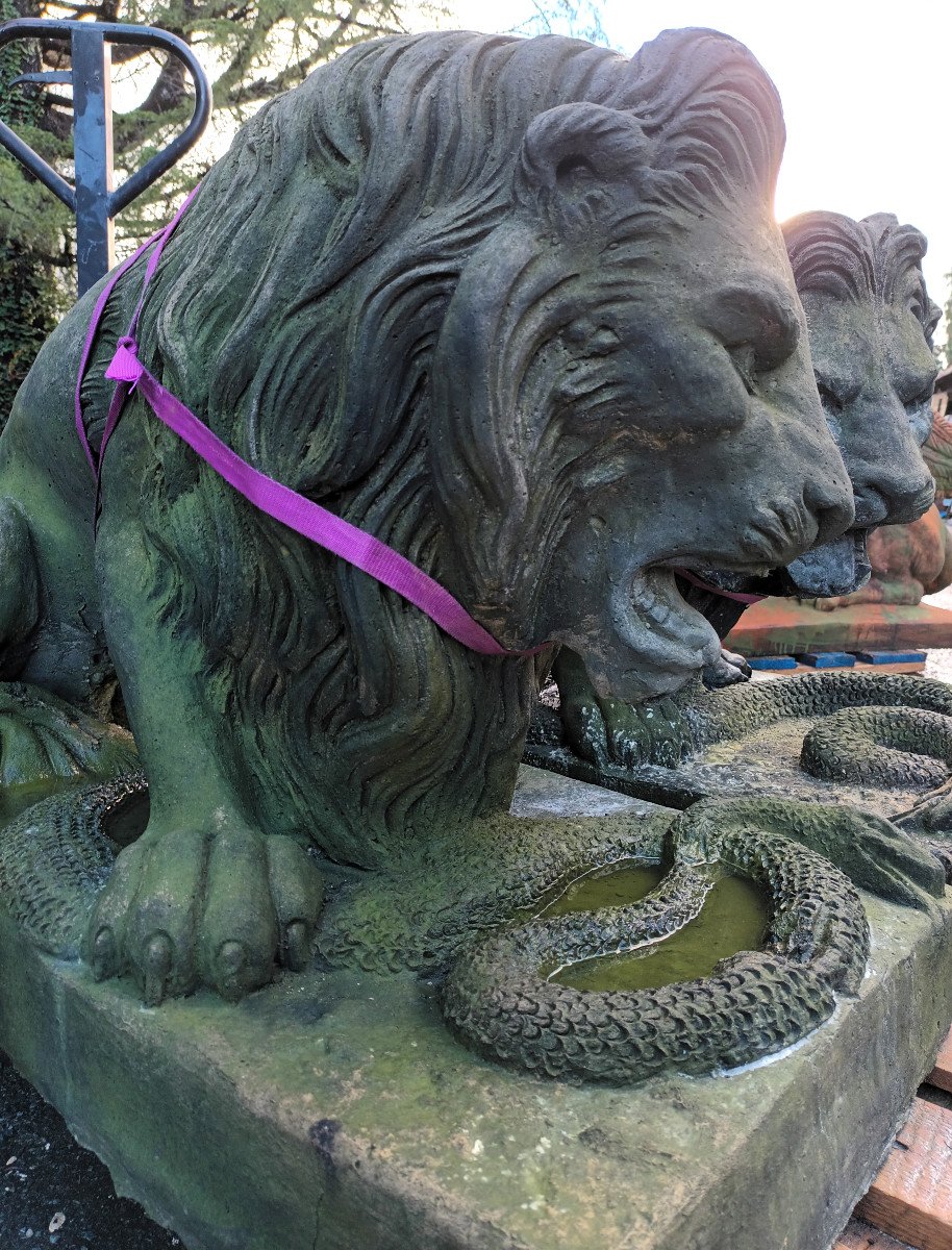 Large Pair Of Lions With Snakes In Cement-photo-3