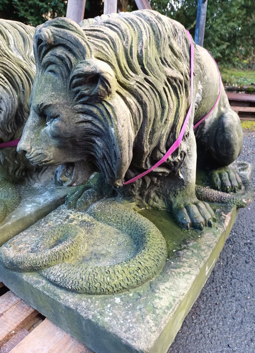 Large Pair Of Lions With Snakes In Cement-photo-5