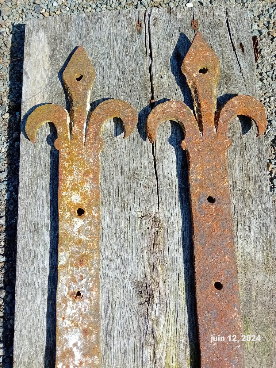  Grandes  Pentures Haute Epoque Fleur De Lys  Fer Forgé 16 Eme-photo-1