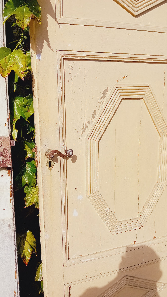 suite de 5 portes double face en resineux, boiserie  19 eme-photo-4