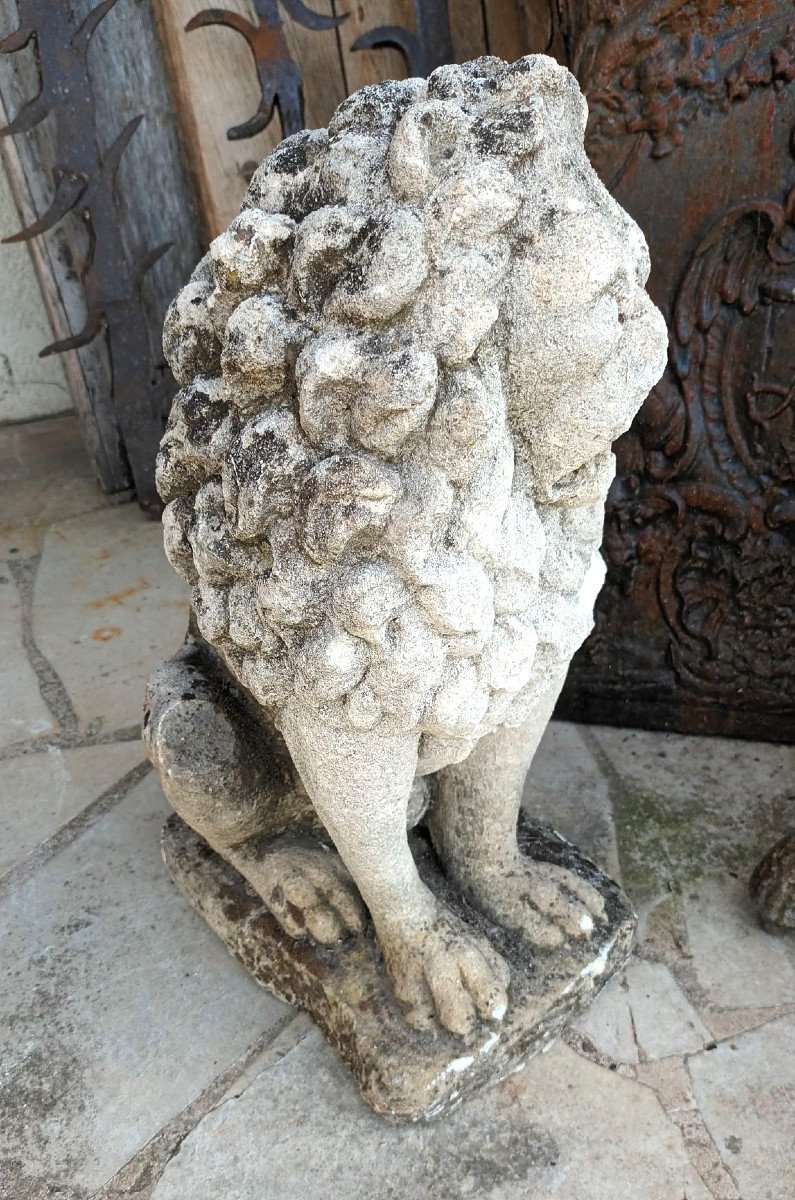 Pair Of Lions In Gray Stone Nineteenth-photo-3