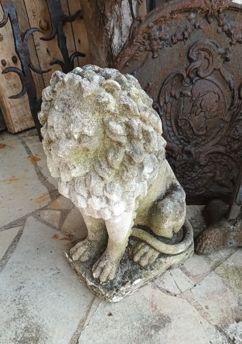 Pair Of Lions In Gray Stone Nineteenth-photo-8