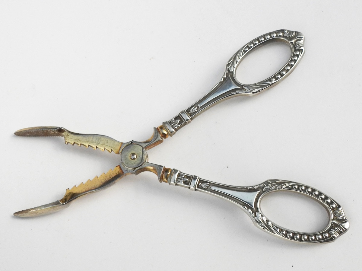 Antique Sugar Tongs Late 19th Century Branches Solid Silver Pearl Decorations-photo-3