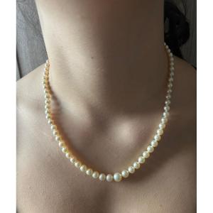 Fallen Cultured Pearl Princess Necklace With Clasp And Chain In 750/°°° Gold