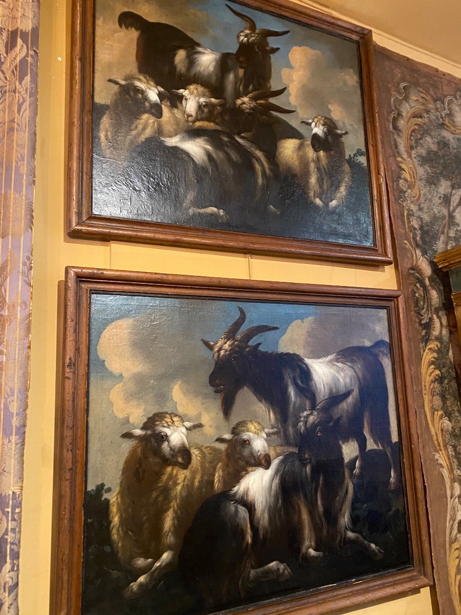 Pair Of 18th Century Stars Re-canvased And Framed (painter Rosa Da Tivoli?)