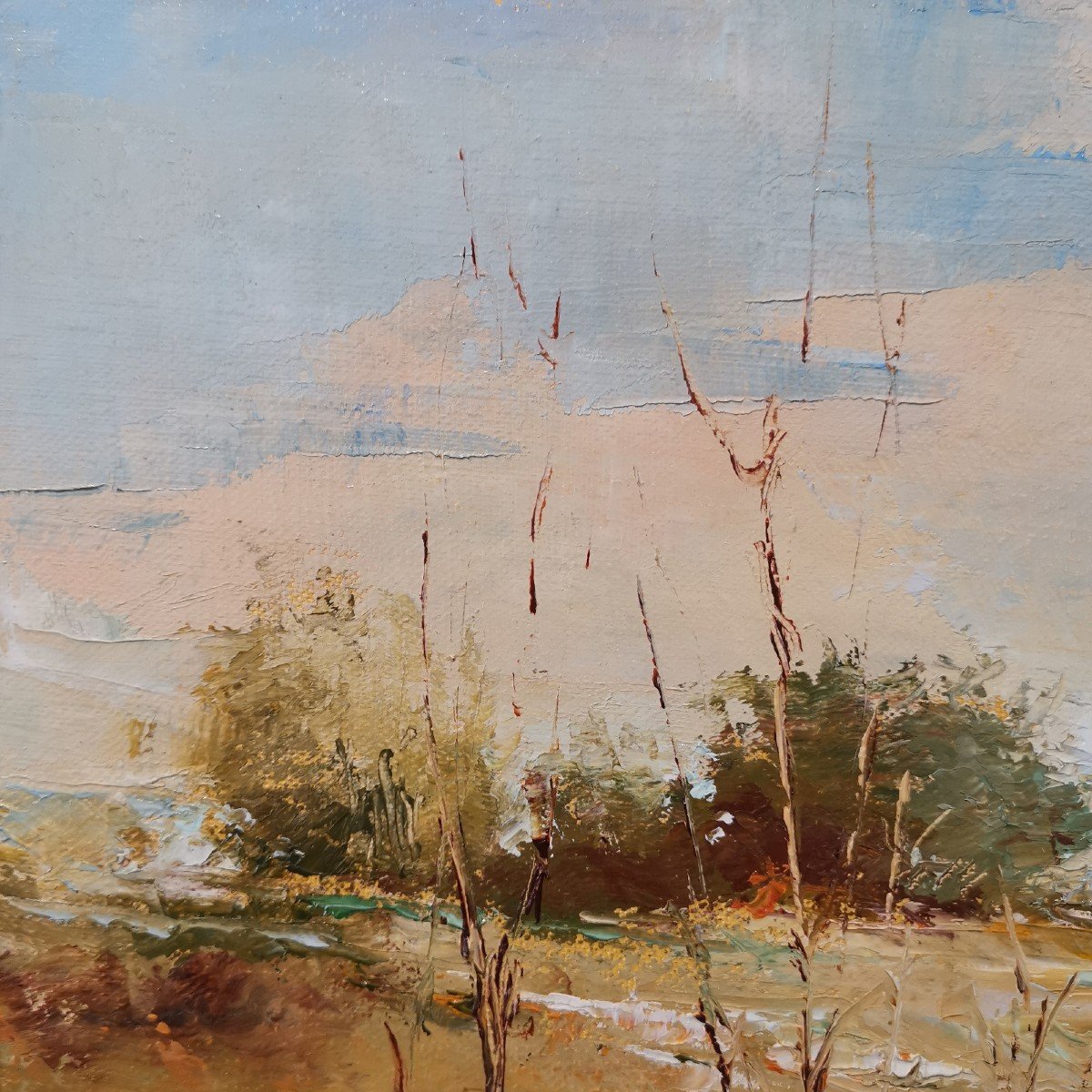 Rémi Foulquier (1910-1995), Landscape Of Garrigue-photo-3