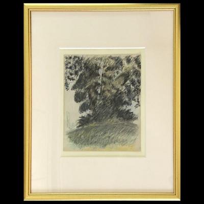 Jean Puy (1876-1960), Dessin « Paysage à l'arbre »