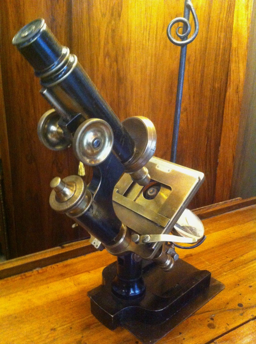 Lampe Microscope De l' Institut Pasteur