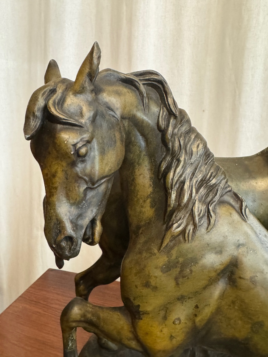 Les chevaux par Ch.Valton-photo-3